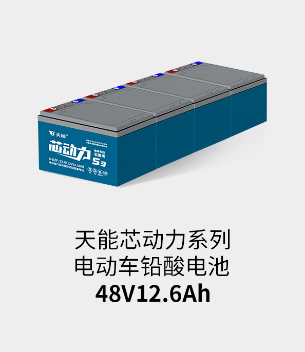 亚星yaxing登录平台电池48v12ah