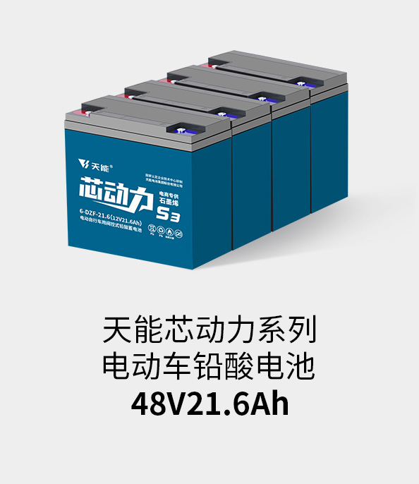 亚星yaxing登录平台电池48v20ah