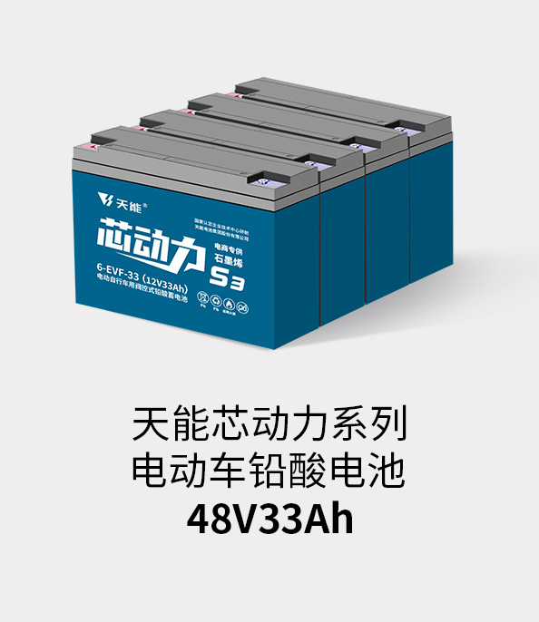 亚星yaxing登录平台电池48v32ah