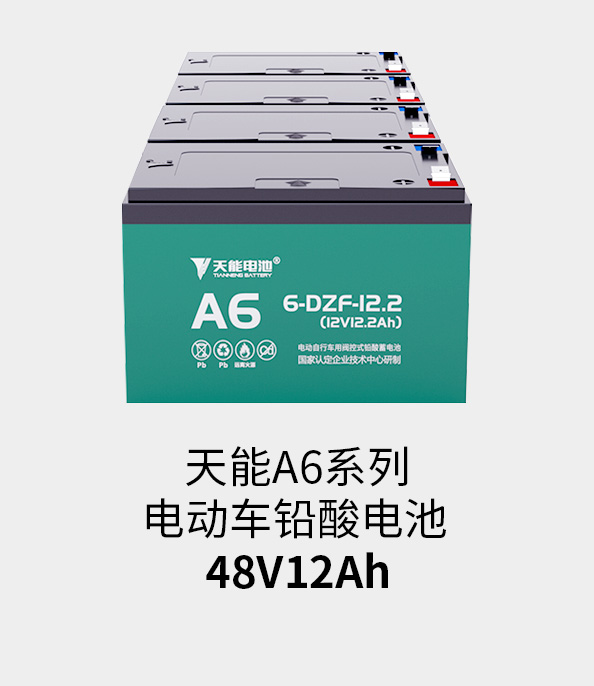 亚星yaxing登录平台电池48v12ah