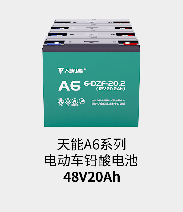 亚星yaxing登录平台电池48v20ah