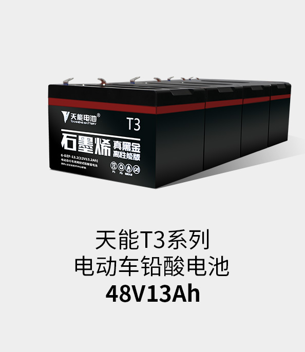 亚星yaxing登录平台T3系列48v13ah
