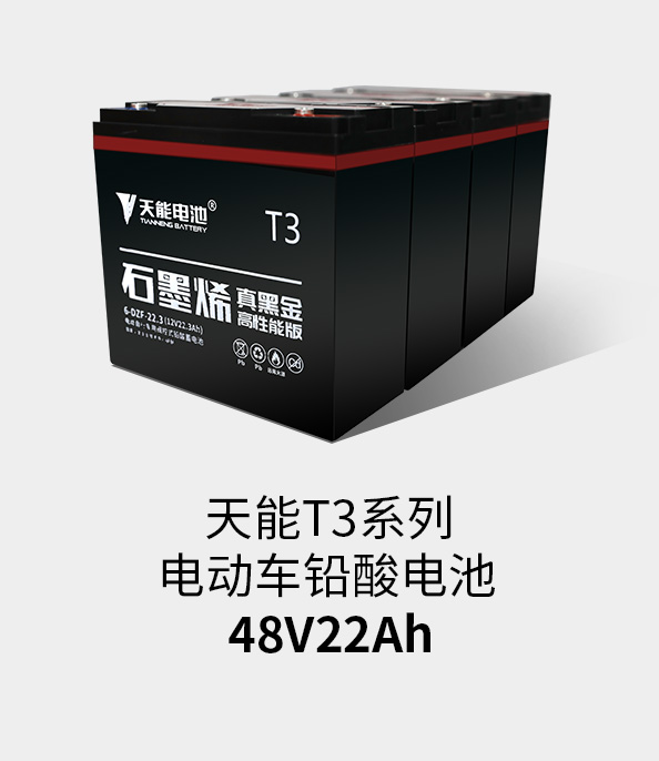 亚星yaxing登录平台T3系列48v22ah