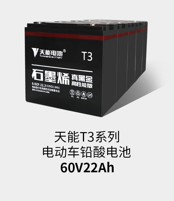 亚星yaxing登录平台T3系列60v22ah